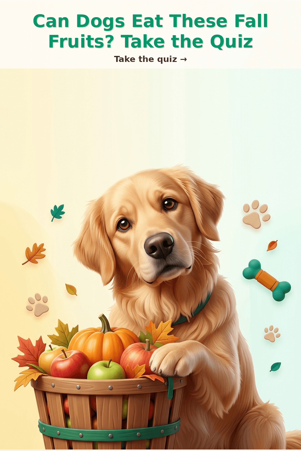 Can Dogs Eat These Fall Fruits? Take the Quiz