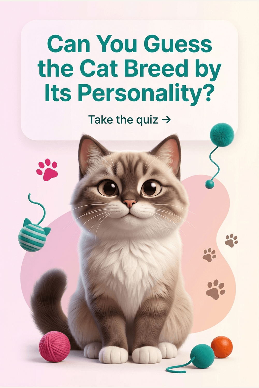 Kannst du die Katzenrasse an ihrem Wesen erkennen?