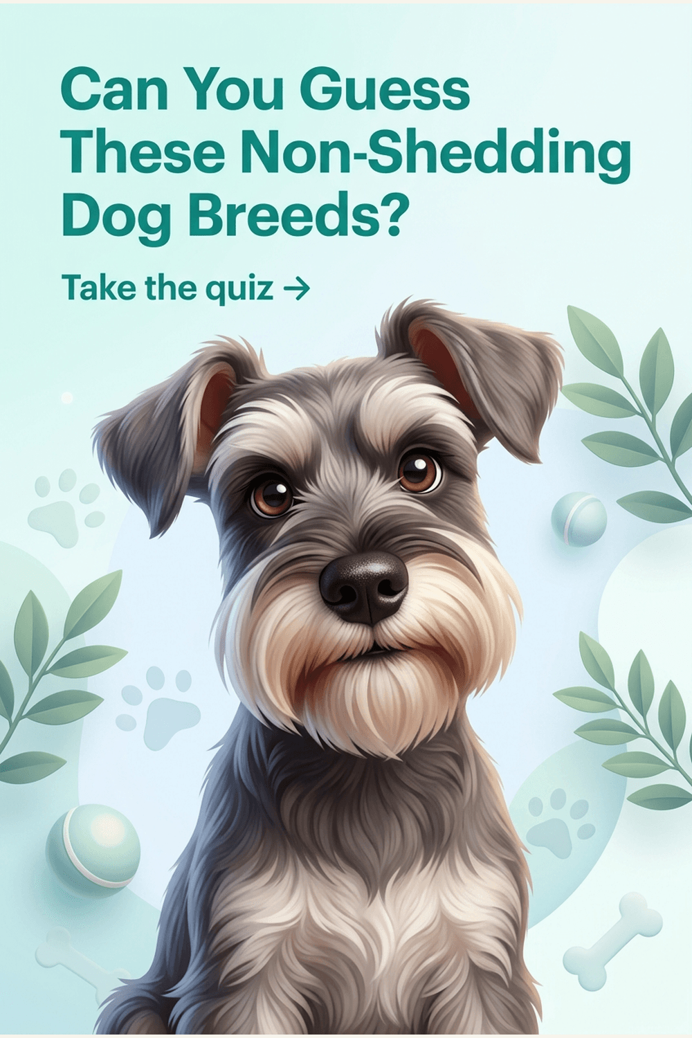 Can You Guess These Non-Shedding Dog Breeds?