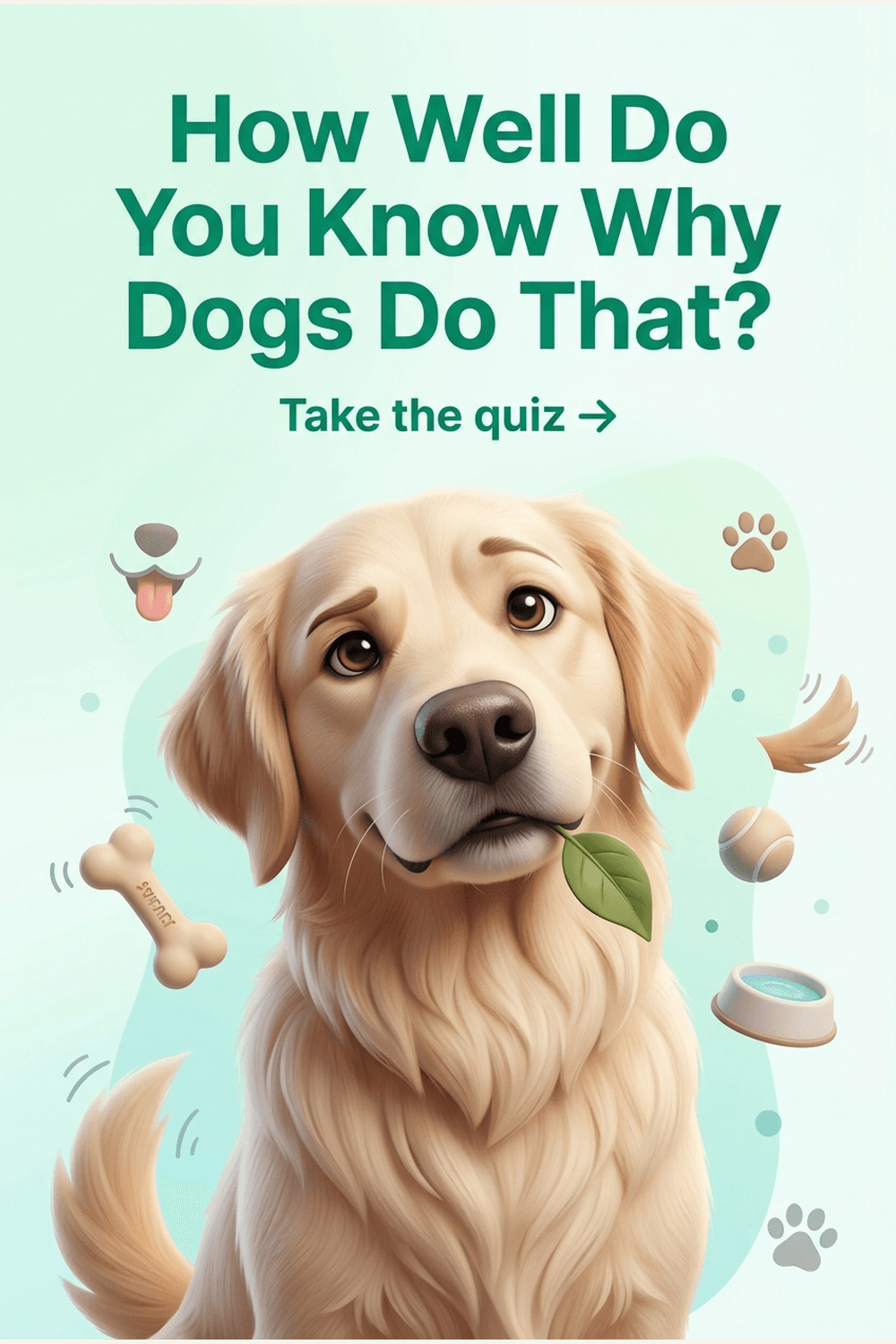 How Well Do You Know Why Dogs Do That? Take the Quiz