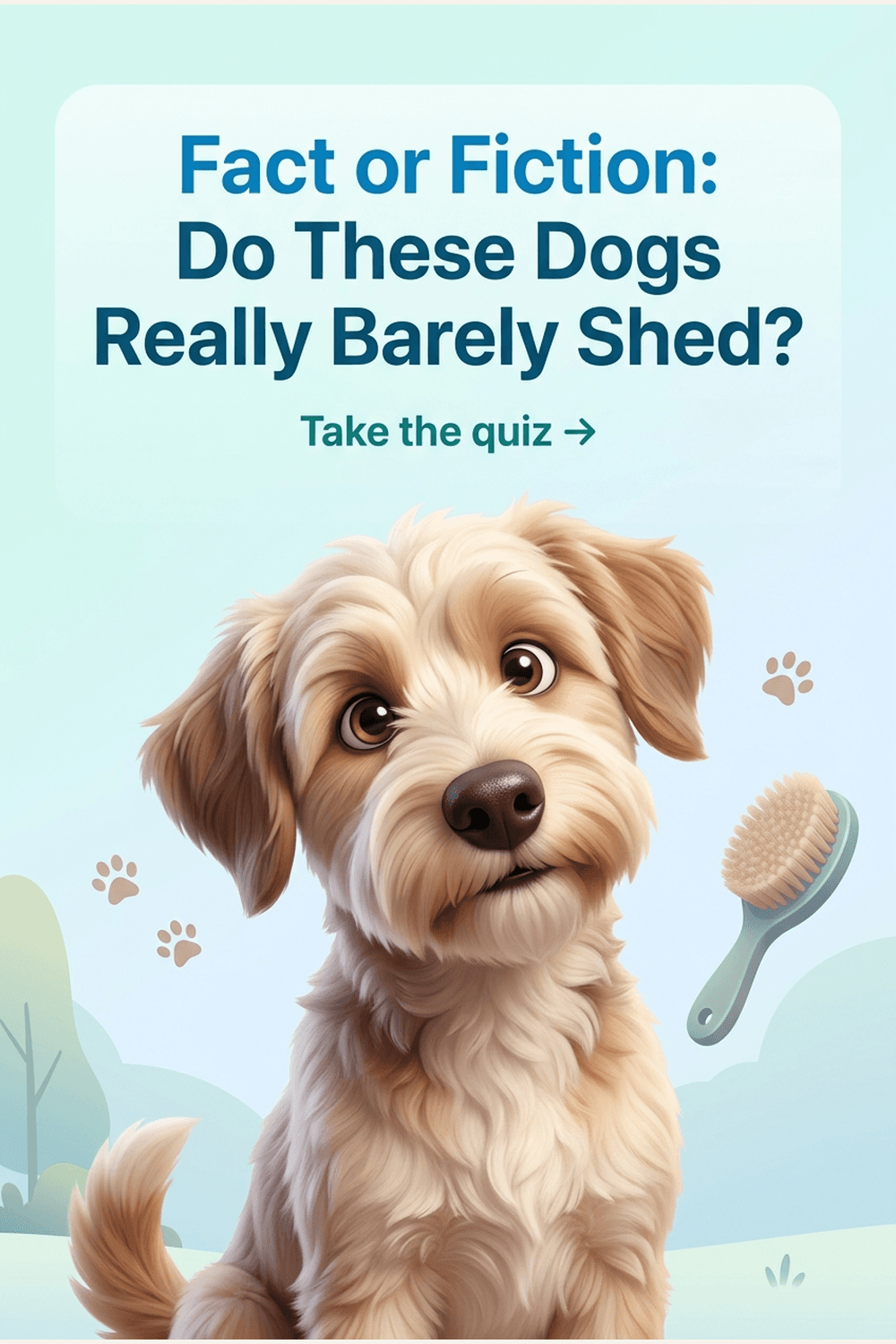 Fakt oder Mythos: Haaren diese Hunde wirklich kaum?