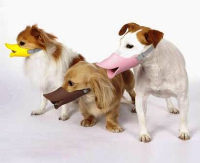ปากเป็ดสุนัข ปากเป็ดหมา ที่ครอบปากสุนัข ที่ครอบปากหมา